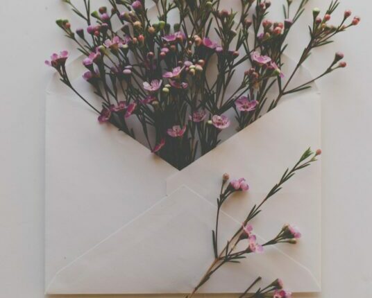 φάκελος γεμισμένος με λουλούδια
